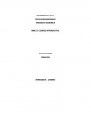 Integracion internacional