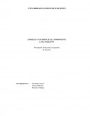 Oxigeno como combustible