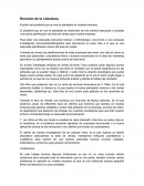 Revisión de la Literatura. Estudio del problema que se nos ha planteado en nuestra empresa.