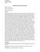 Analisis literario el gato negro