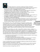 Pensamiento - Ensayo