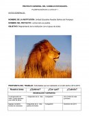 Actividades que se realizarán en el año lectivo 2014-2015.