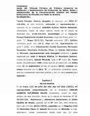 Demanda Partición de Bienes en Relación Concubinaria