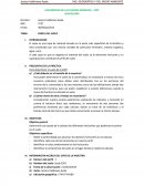 Perfil de suelo PREGUNTAS DE LA PRÁCTICA