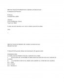 PROYECTOS DE INVERSION DE CASINOS LAS ROCAS SAC