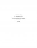 Desarrollo del aprendizaje.