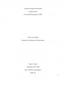 Perspectivas Sociologica del envejecimiento