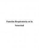 Función Respiratoria en la Senectud