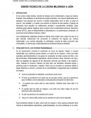 UN DISEÑO TECNICO DE LA COCINA MEJORADA A LEÑA