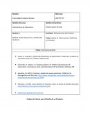 Cadena de Valores para el Diseño de un Producto. TAREA 2