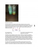 Bioquimica dos resultados practica.