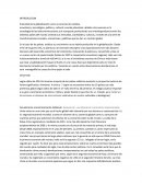 Globalizacion: situacion actual paises asiaticos.