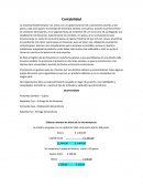 La empresa Rocket Brownie SA