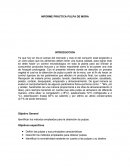 INFORME PRÁCTICA PULPA DE MORA
