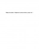 Objeto de estudio 7: Eligiendo el camino del bien y mejor vivir