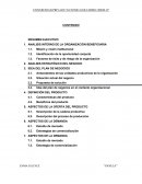 Ecological sugar. Analisis interno de la organización beneficiaria