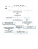 Actividad de aplicación Laboratorio de ejercicios de las Leyes de Newton