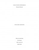 Proceso relator: Salud mental