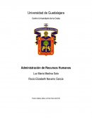 Administración de Recursos Humanos. Estructura de los recursos humanos