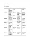 Tipos de Termómetros.