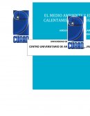 Ecología - La contaminación