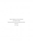 Equipos y Maquinarias en los Procesos Industriales.