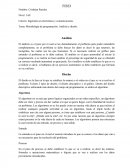 Metodología de programación: Análisis y diseño.
