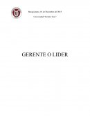 Análisis del gerente y lider.
