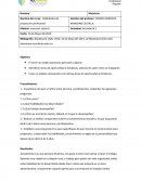 Habilidad de proyeccion profesional