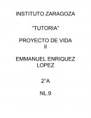Tutoria. Proyecto de vida