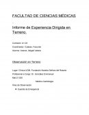 Informe de Experiencia Dirigida en Terreno.