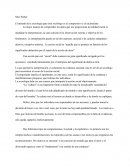 Max Weber - Sociología