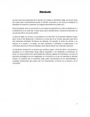 Orientacion Vocacional. Descripción impresionista de la persona