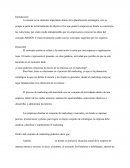 Misión de una Empresa - Control de Marketing