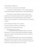 Normas autoaplicativas y heteroaplicativas.