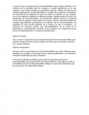 Los Biocombustibles.