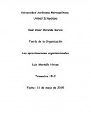 Teoría de la Organización Las aproximaciones organizacionales