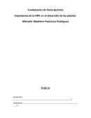 La NPK en el desarrollo de las plantas