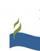 BUSQUE DOS CONCEPTOS DE CONOCIMIENTO Y ANALÍCELOS. EJEMPLOS