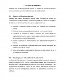 Estudio de Mercado Francia