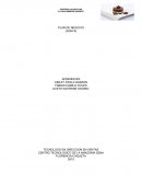 PLAN DE NEGOCIO (GUIA 6) APRENDICES