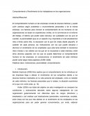 Comportamiento y Rendimiento de los trabajadores en las organizaciones