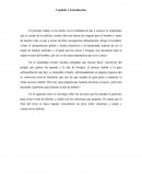 ¿Qué responsabilidad tiene el gobierno con los pueblos indígenas en cuanto a la tala de árboles?