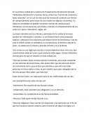 Fundamentos del derecho.