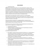 Plan de Negocios - Resumen ejecutivo.