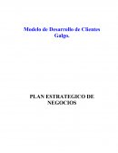 GUÍA DE PLAN ESTRATÉGICO DE NEGOCIOS.