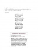 Diferentes tipos de topografias