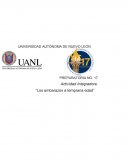 Actividad Integradora “Los embarazos a temprana edad”