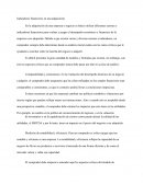 Indicadores financieras.