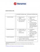 PAQUETE INTEGRAL PyME